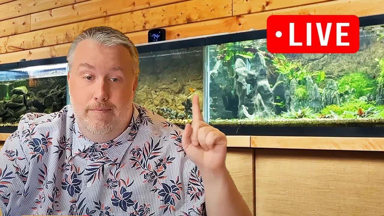 Community Aquariums Are The Best. Lets Talk About it