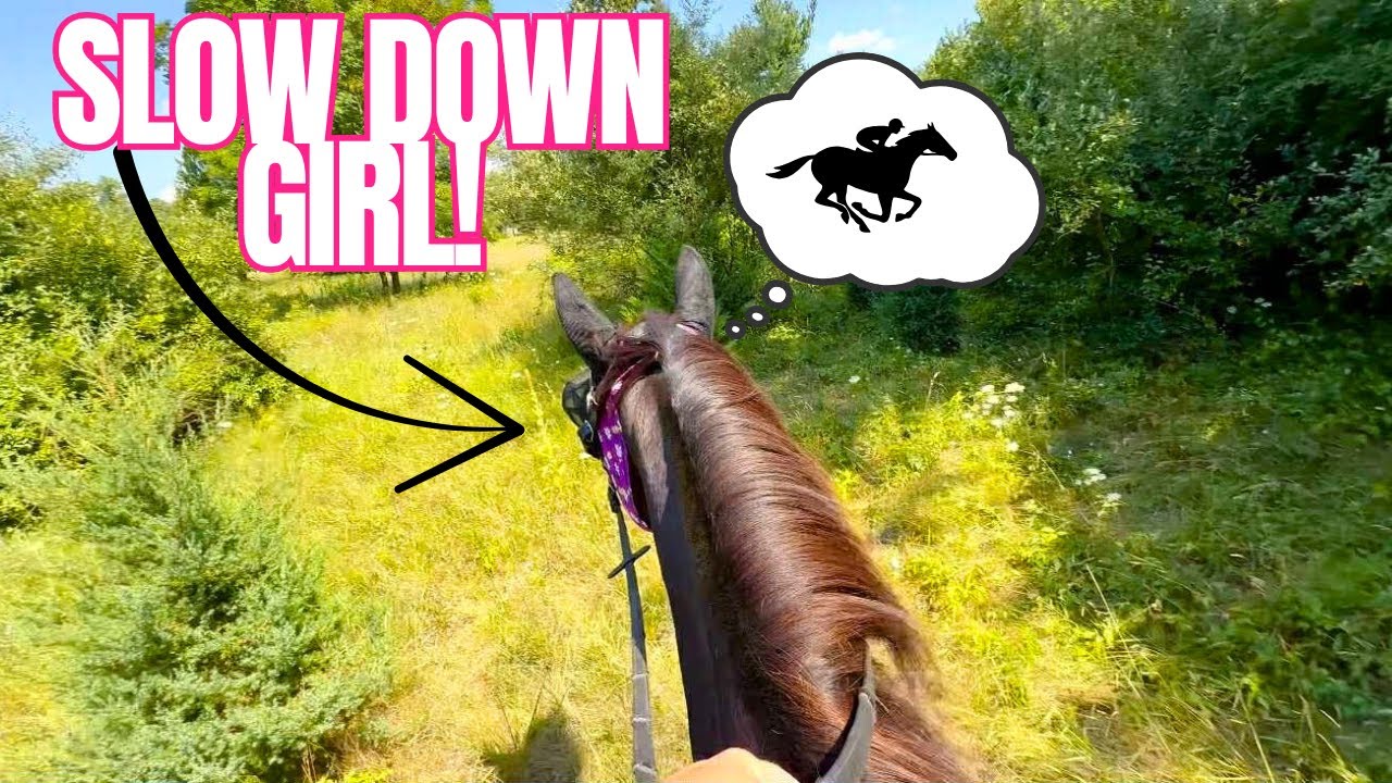 MY MARE IS WAY TOO FAST FOR THE OTHER HORSES!