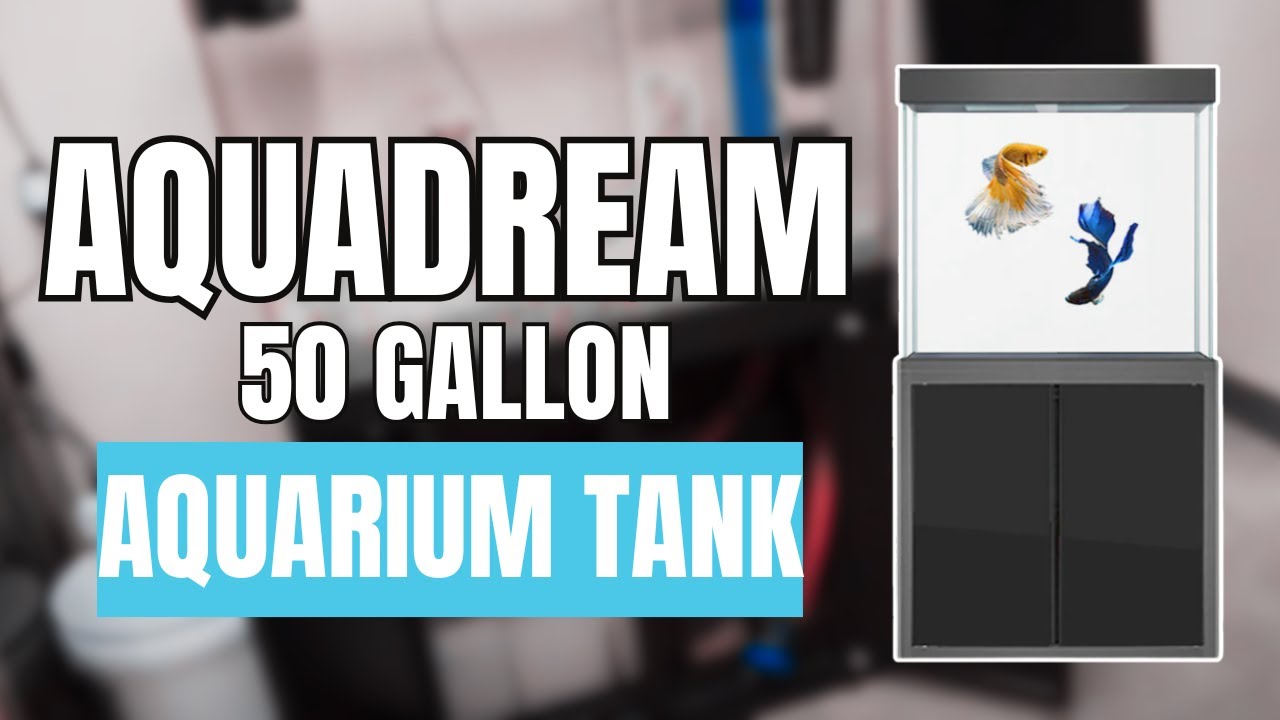 How To Set Up An Aquadream 50 Gallon Fish Tank