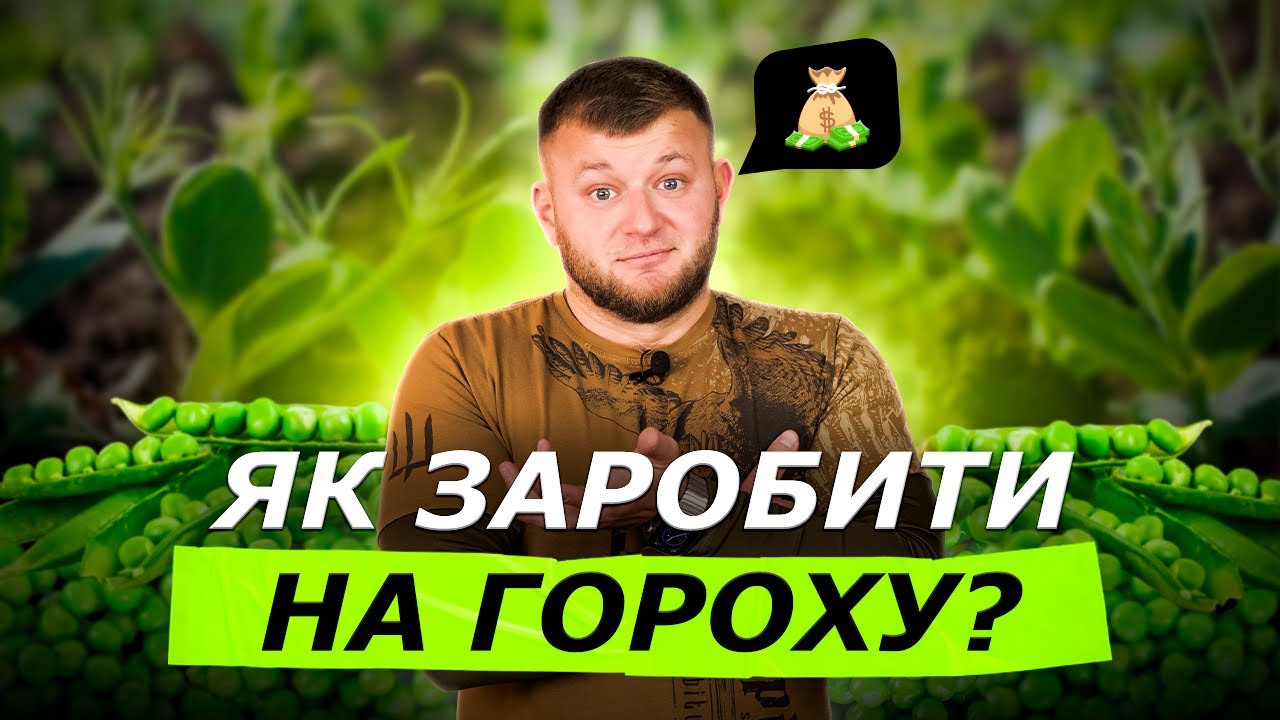 ЗАРОБІТОК З ГОРОХУ! ЦИКЛ ПРИБУТКОВОСТІ ГОРОХУ В УКРАЇНІ 🤑