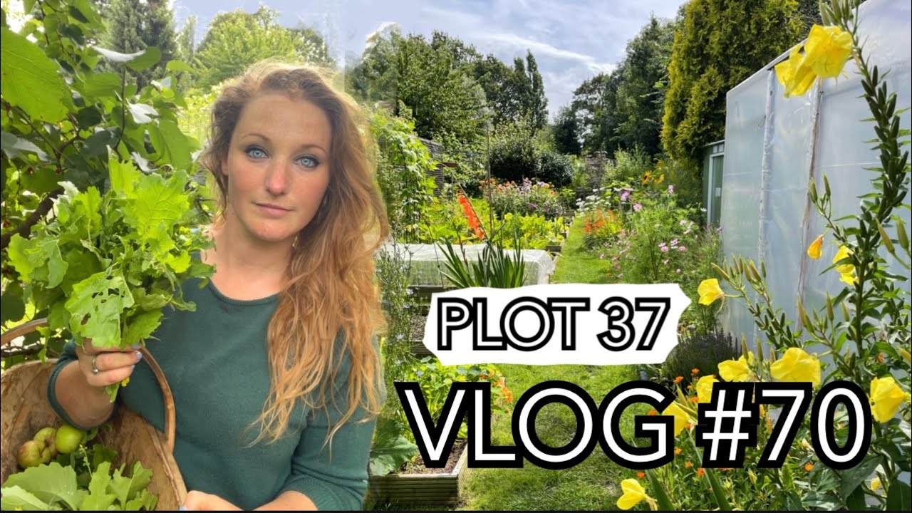 Chicken House Renovations and the Outdoor Tomatoes are DOOMED || Plot 37 (Episode 70)