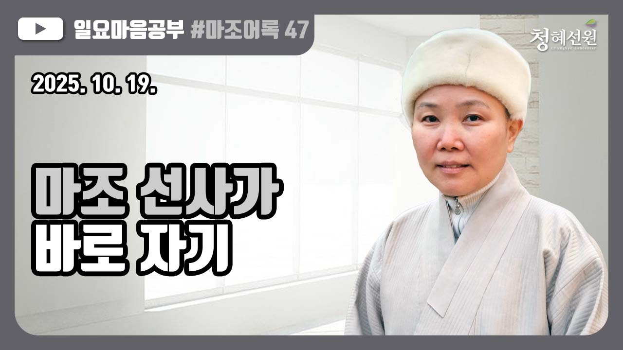 2025.10.19. [청혜선원] 일요공부ㅣ마조어록  제47회  제3부 9. 조사가 서쪽에서 온 뜻  