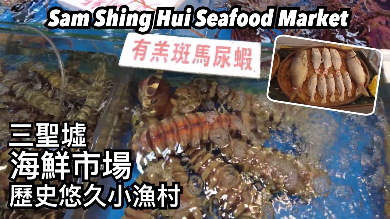屯門三聖墟海鮮市場 乾濕貨齊 旁邊加工酒樓即食 | 三聖墟海鮮市場 早朝に捕獲されたシーフードが食べられる | Sam Shing Hui Seafood Market
