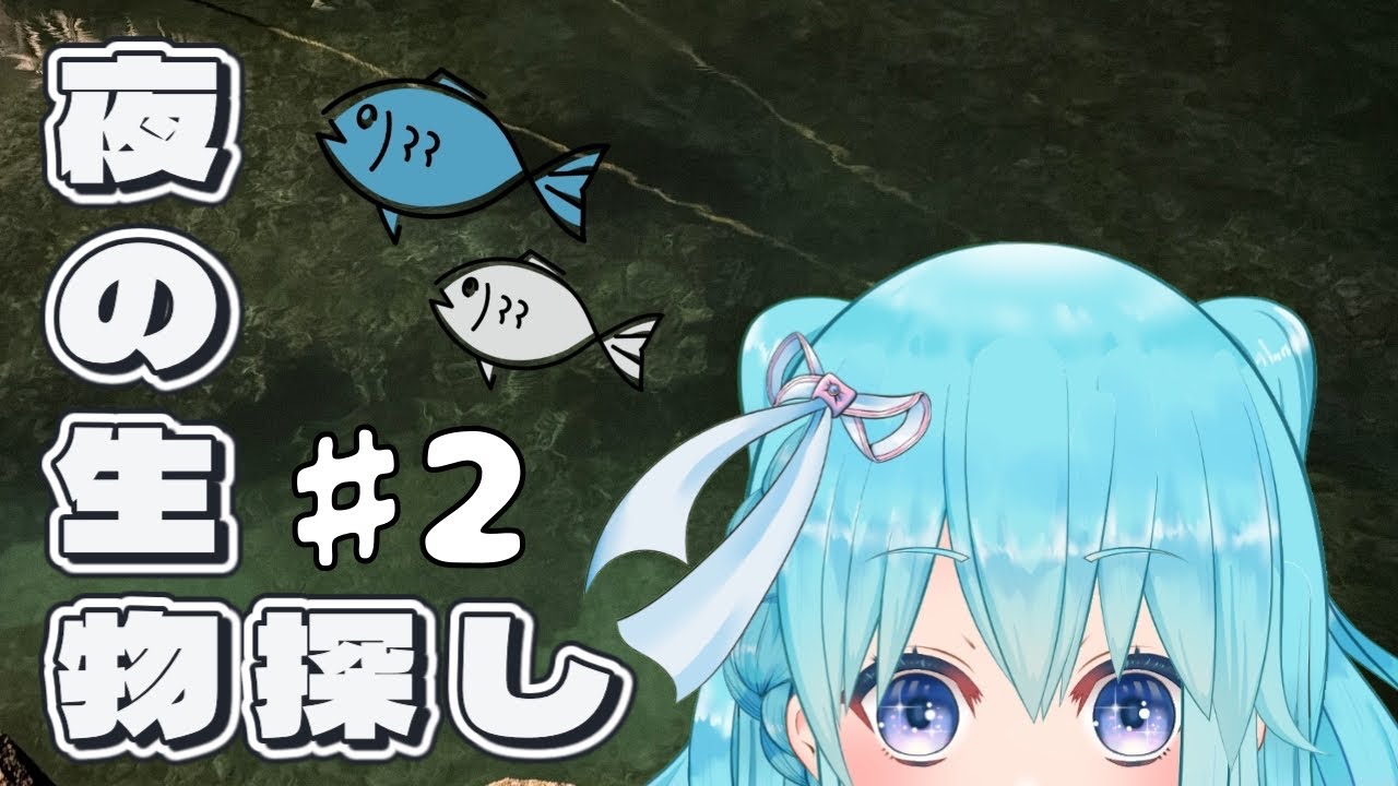 【環境音あり】夜の生き物さがし🐠♯2