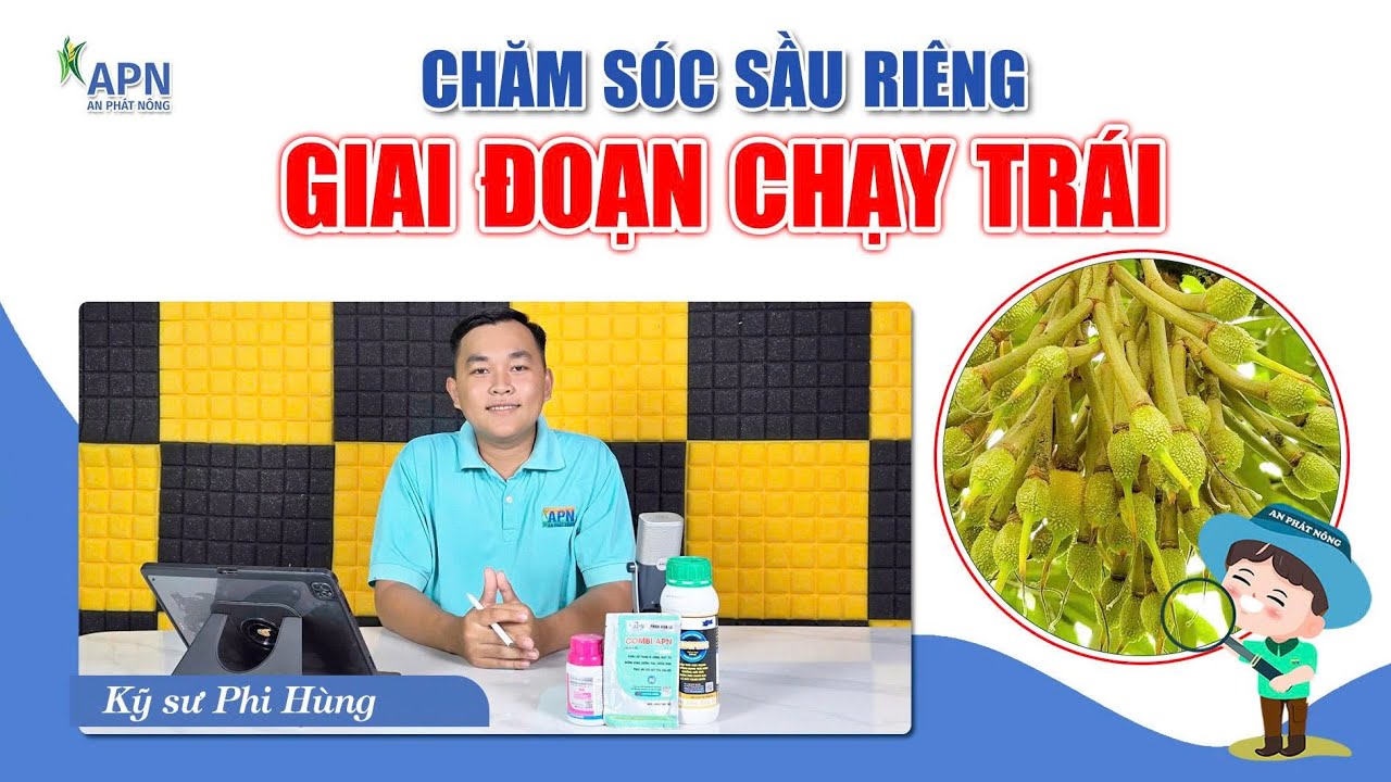 CÔNG THỨC PHUN XỊT GIAI ĐOẠN CHẠY TRÁI