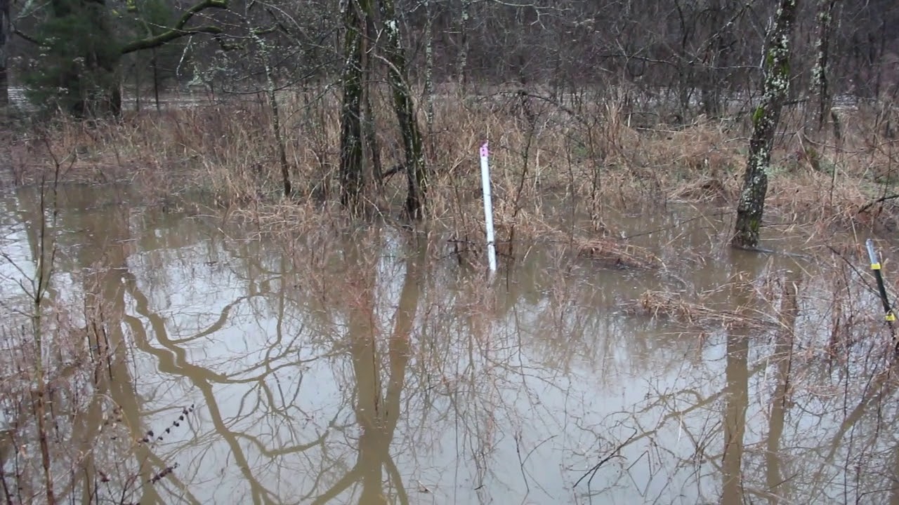 March 20, 2020 Spring Flood - Wildcat Hollow Farm - Video 092