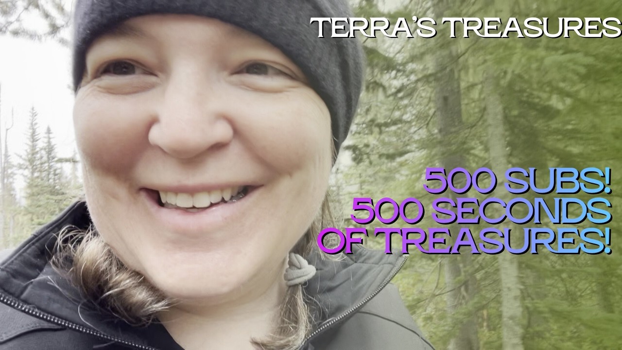 Years of treasure hunting condensed down to 50 clips!