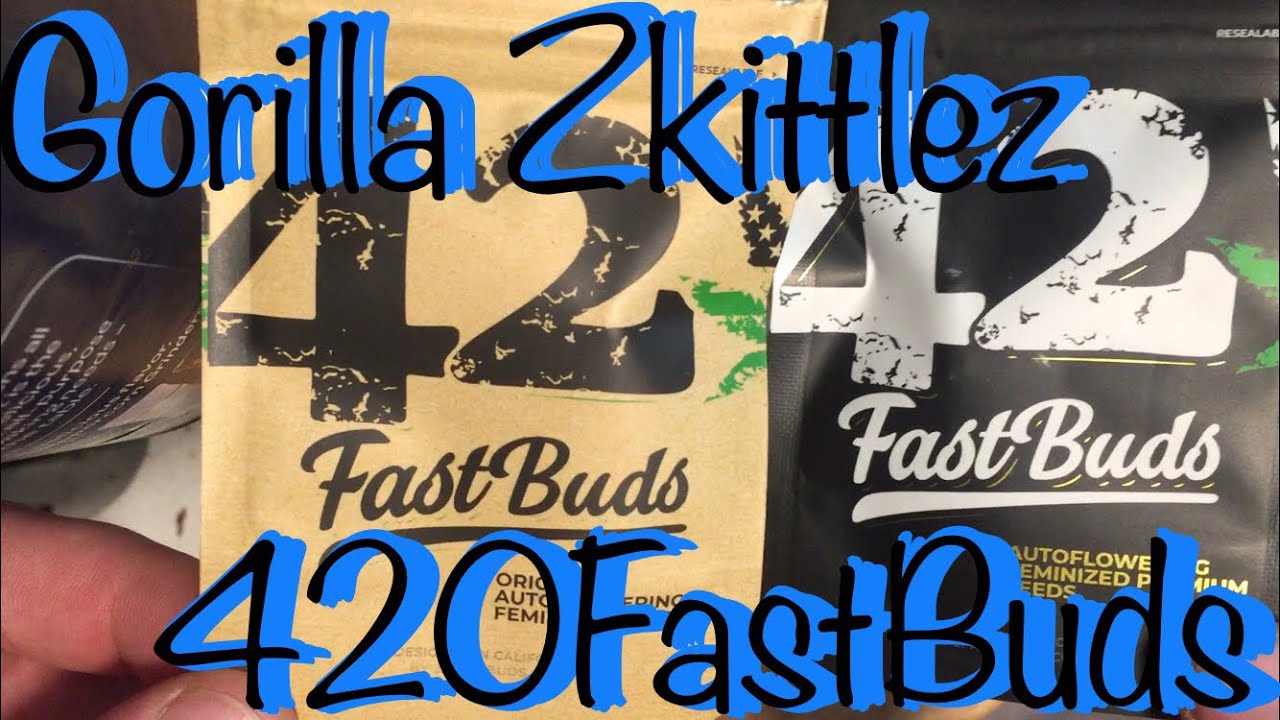 Gorilla Zkittlez From 420FastBuds Germination