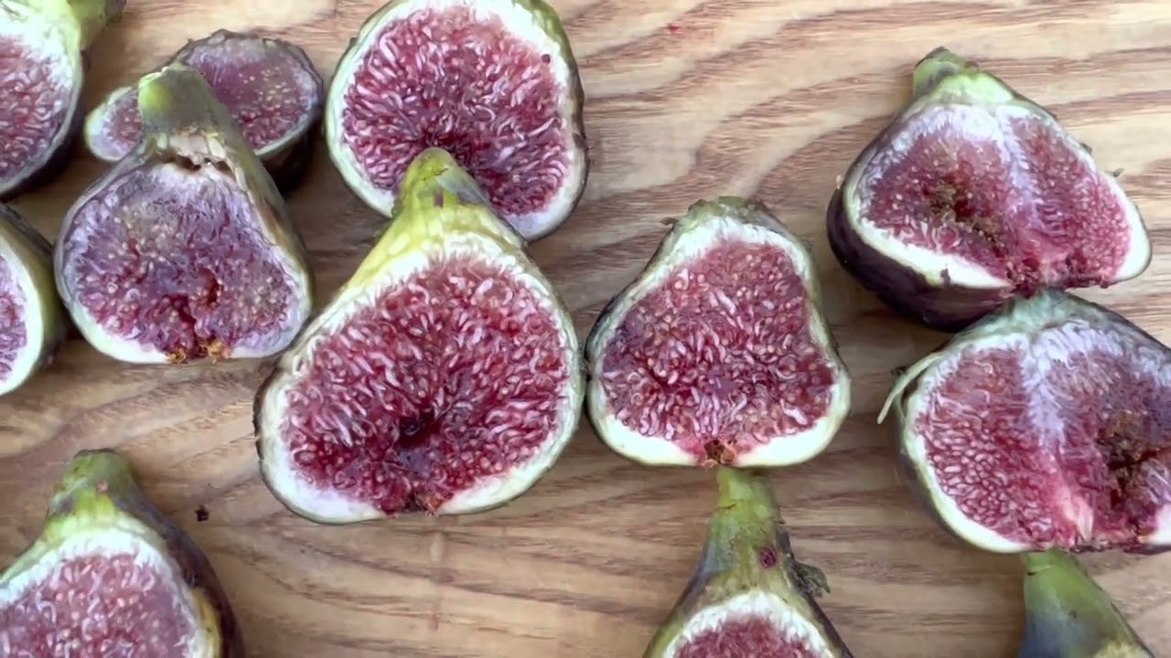 Кастель Тросино, 48-й номер Марио