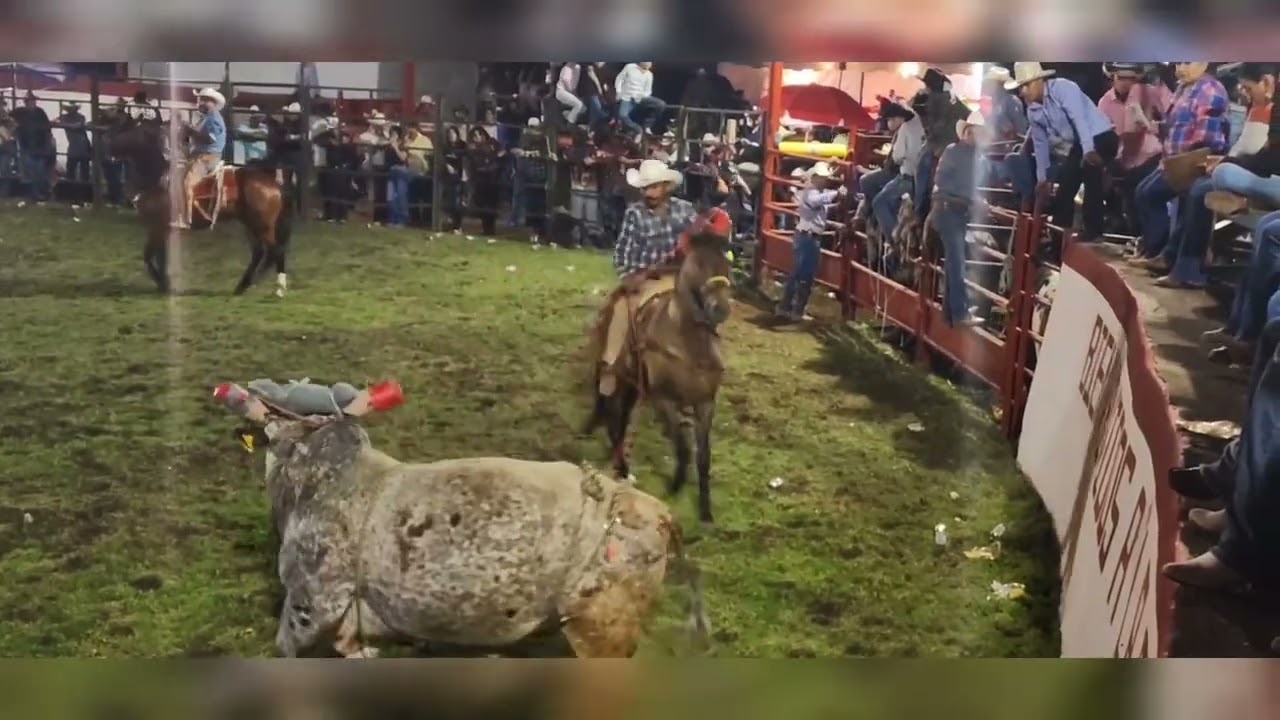 JARIPEO SANTA CATARINA SAN NICOLAS TOLENTINO SLP