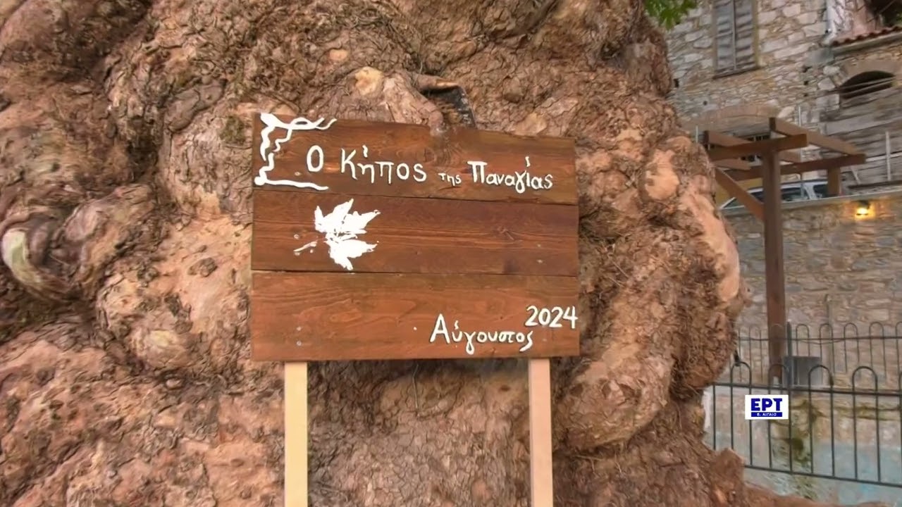 Λέσβος: Μετά από 30 χρόνια ξανάνοιξε ο Κήπος της Παναγιάς στην Αγιάσο
