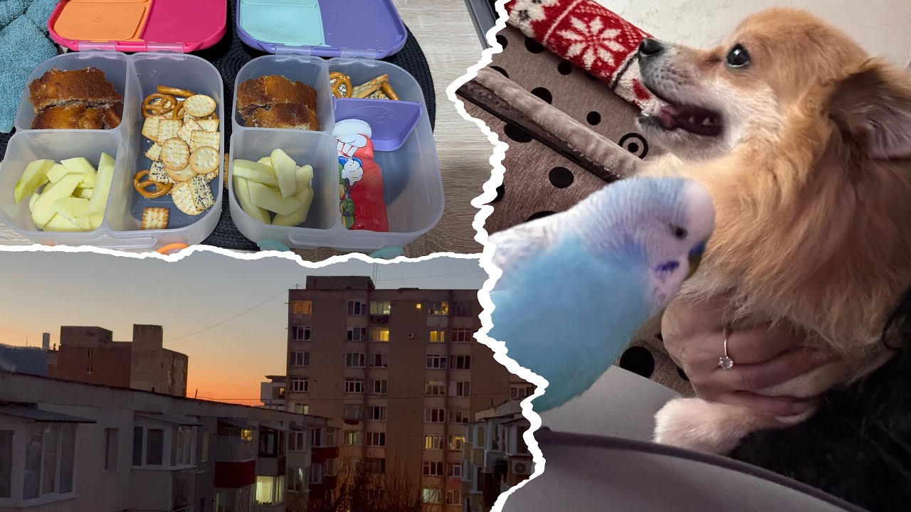 Vlog: O tund pe Mini✂️🐶 Colectez produse de make-up de la Sely💄💋🤭