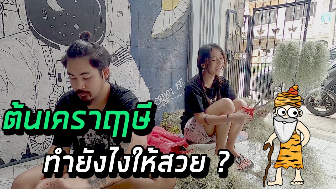 Vlog เดอะ ฟัก : ต้นเคราฤาษี ทำยังไงให้สวย?