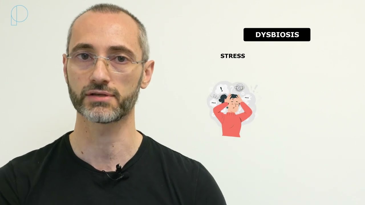 Easy to learn | Nutrition: A quick introduction to the digestive system