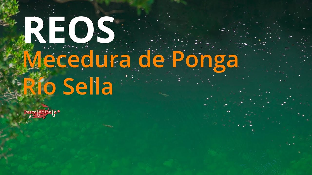 Reos, Mecedura de Ponga, río Sella