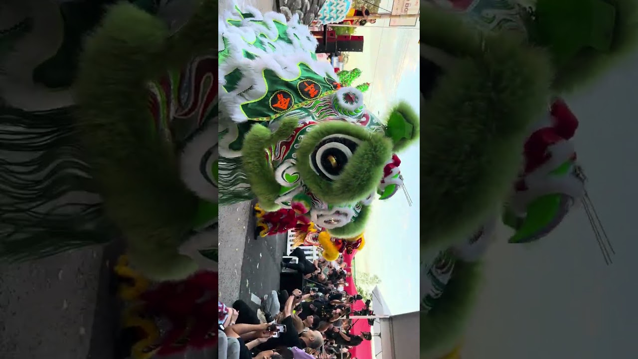 2026 Doncaster 舞龙舞狮￼￼ 2月7日￼