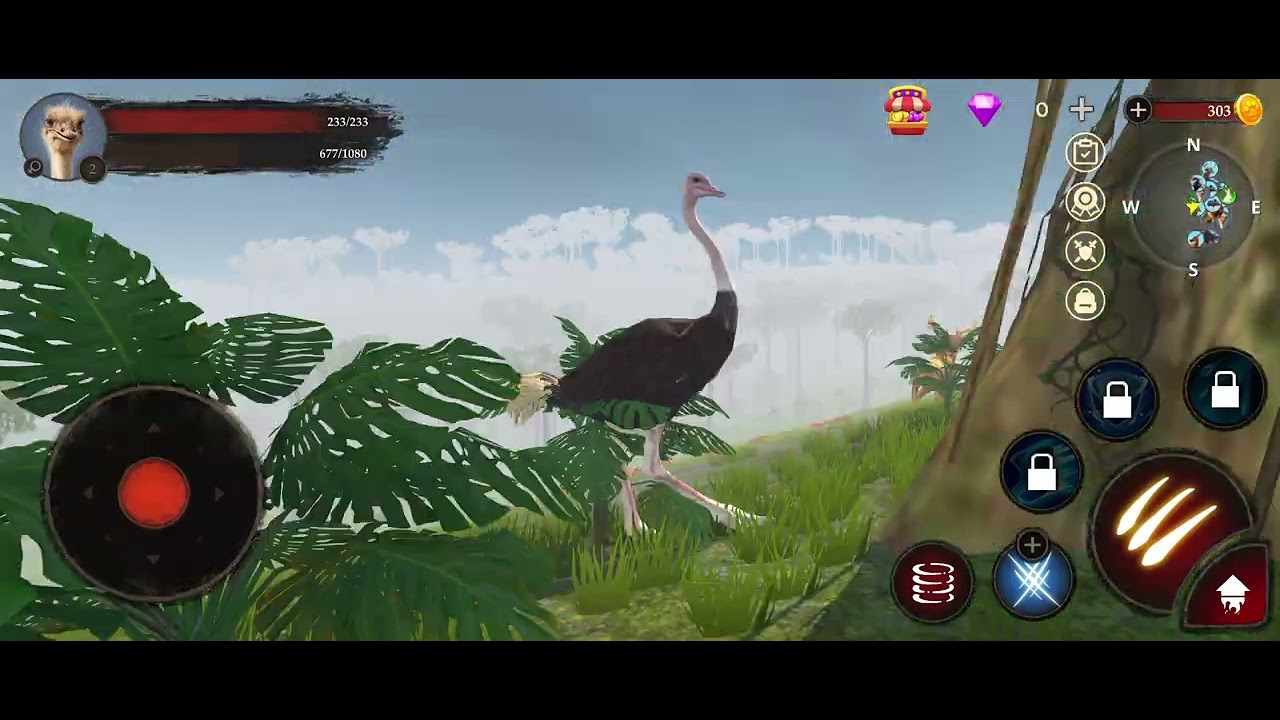 Ostrich life