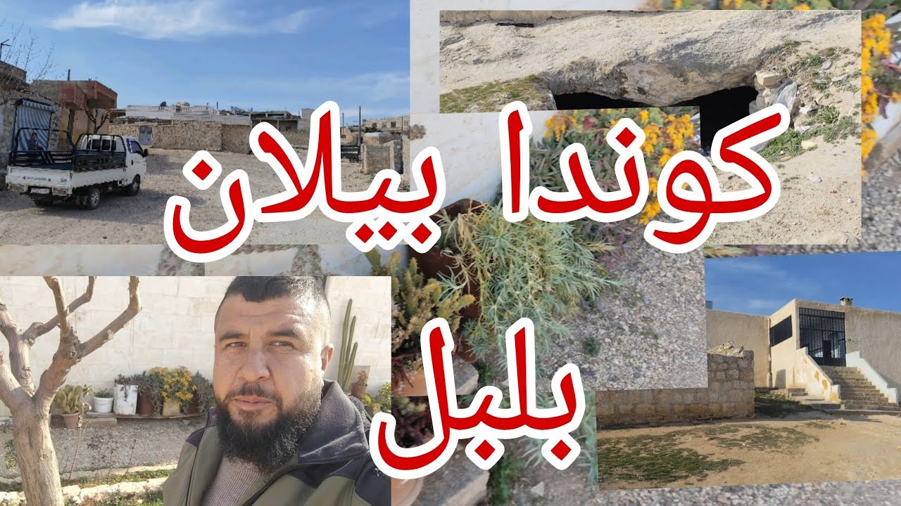 كوندا بيلان🏢 بلبل وشوف احلى زهور 🌵🌼💐🌵طلب متابعينا تابعونا لاخير لاتنسى اشترك لايك