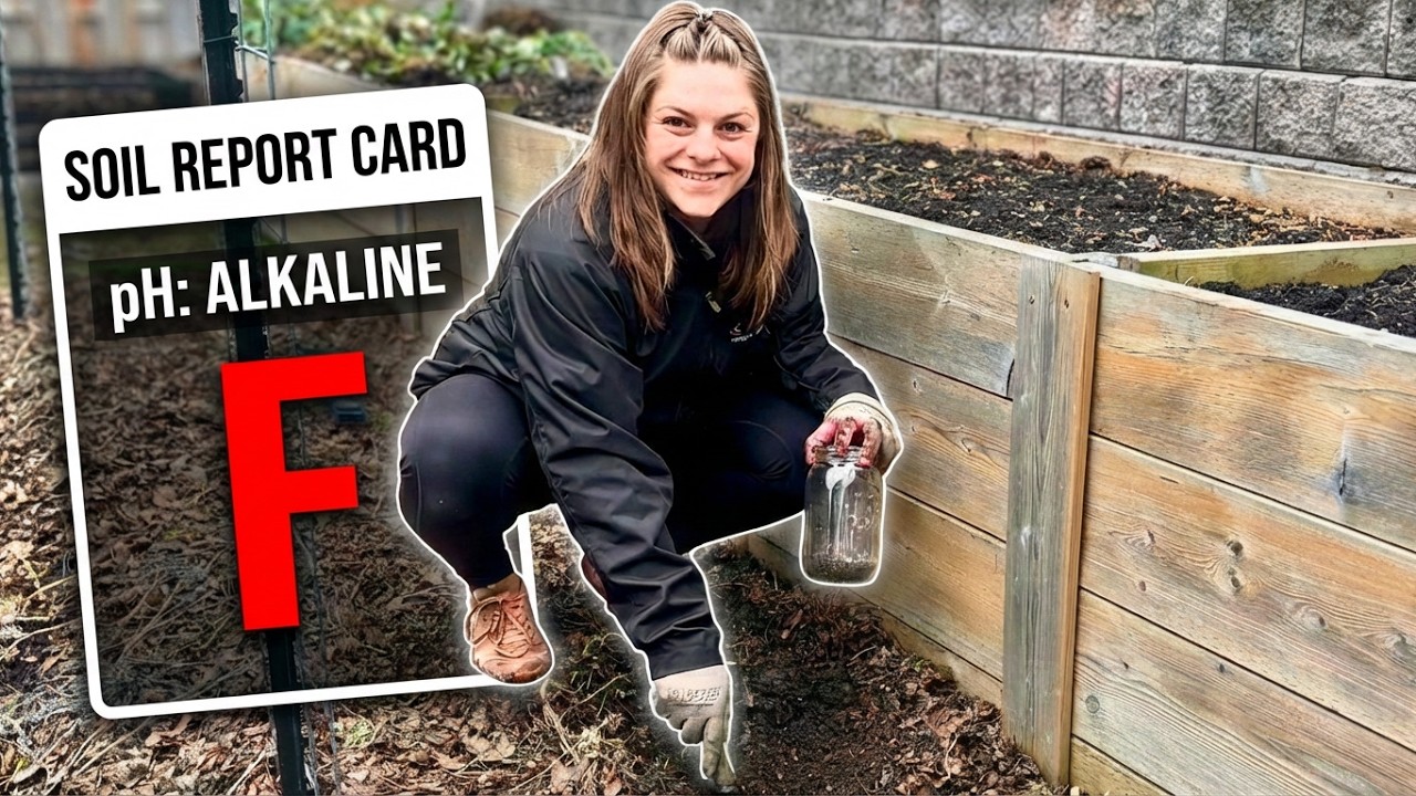 How to Test Garden Soil: Reading Results & Fixing Deficiencies
