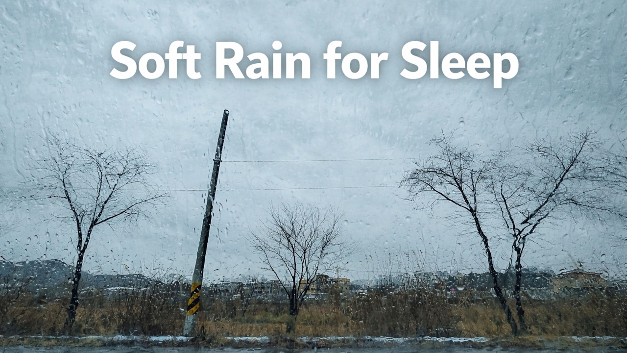 Relaxing Soft Rain Sounds for Deep Sleep or Study | A-Zhe Ambience