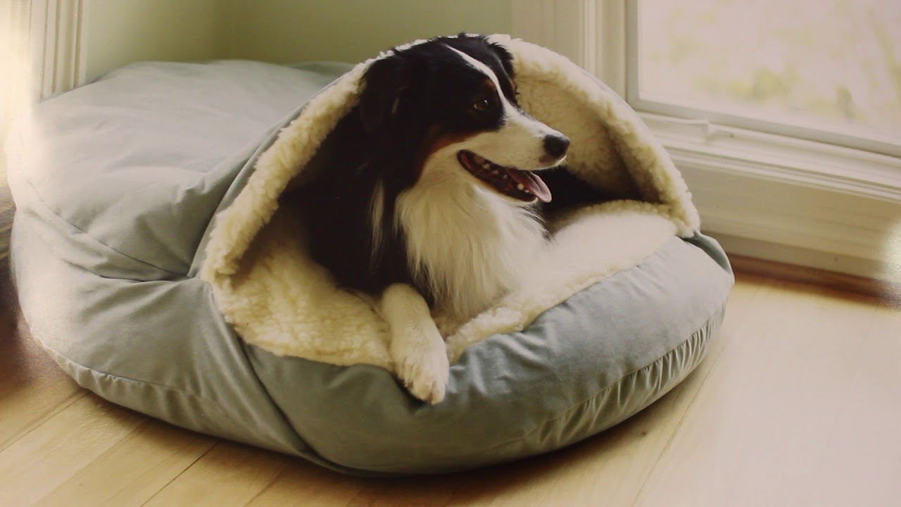 Snoozer Pet: Making Fashionable, High-Quality Products for Dogs