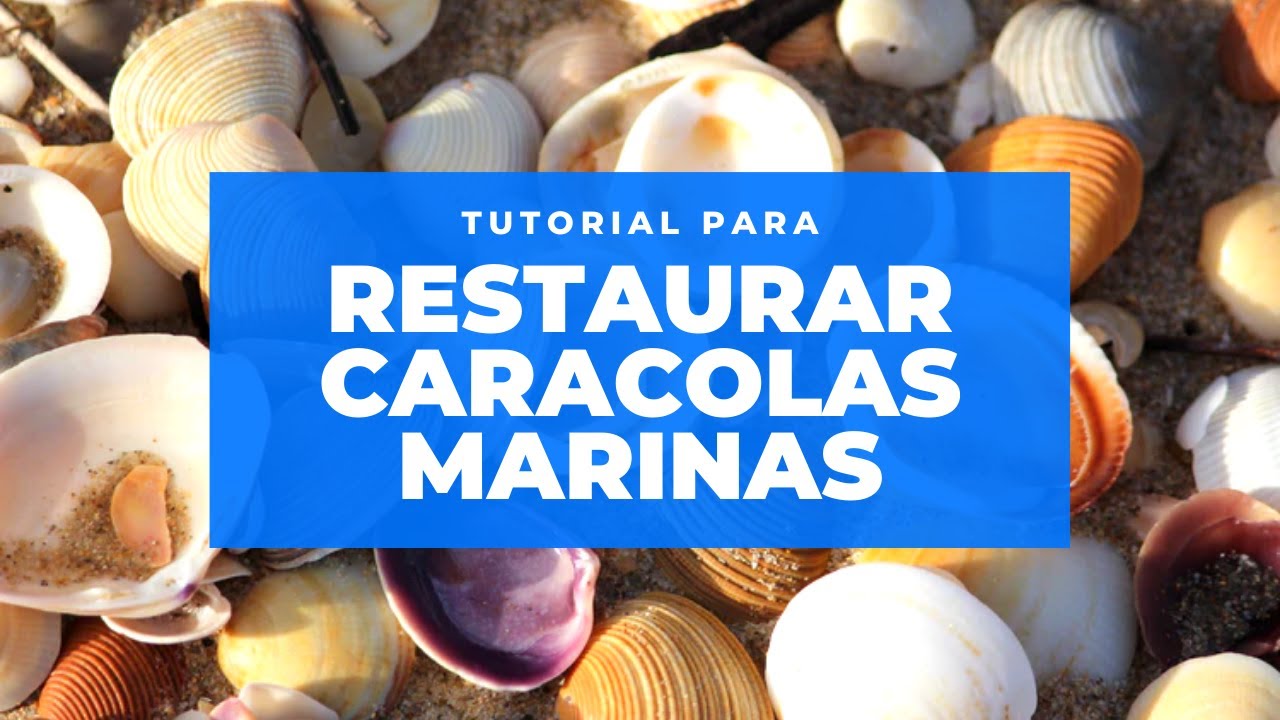 TUTORIAL Cómo LIMPIAR / pulir CARACOLAS o CONCHAS MARINAS - Restaurar color de conchitas de mar