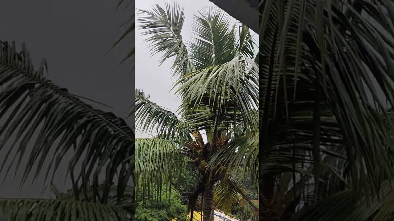 sawan ki pahli barish#rain #patna #sawanspecial # #trending #shortfeed #🧐🥰👍
