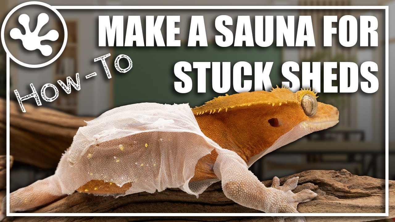 How To Make a Sauna and Remove Stuck Sheds