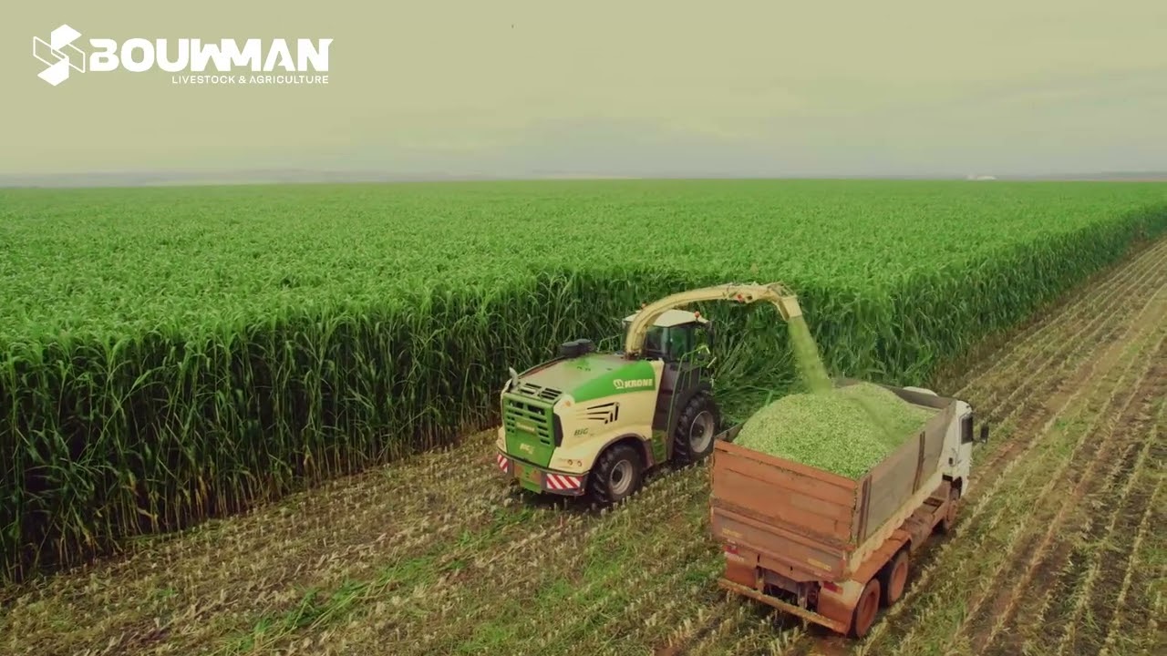 Forrageira autopropelida Krone BiG X 780 + X-Collect @KRONE Agriculture International #automotriz #silagem
