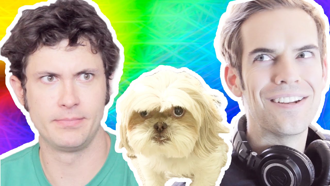 GRYPHON the TALKING DOG (feat. JACKSFILMS)