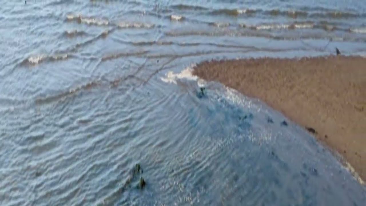 Watching The Tide 🌊 Roll In - 17/08/25