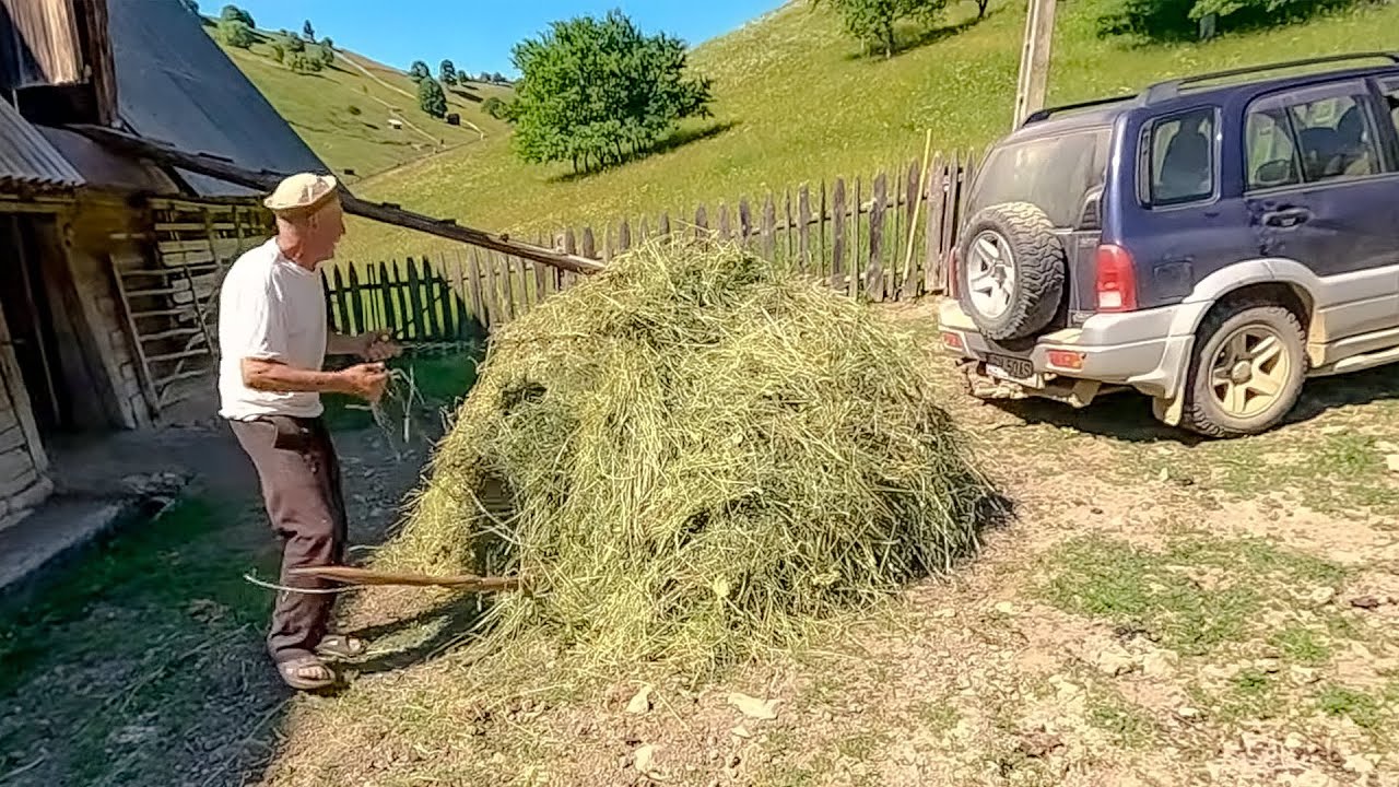 How Does Farm Life Start Each Day?
