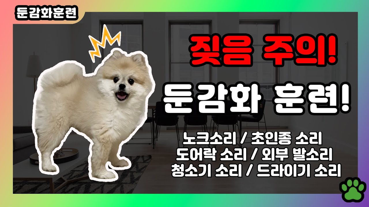 강아지 훈련용 소리 모음  / 둔감화 훈련모음
