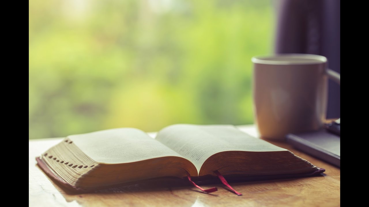 Acts 14:8-28, Psalm 140:1-13, Proverbs 17:22 - Bible and brew Day 469