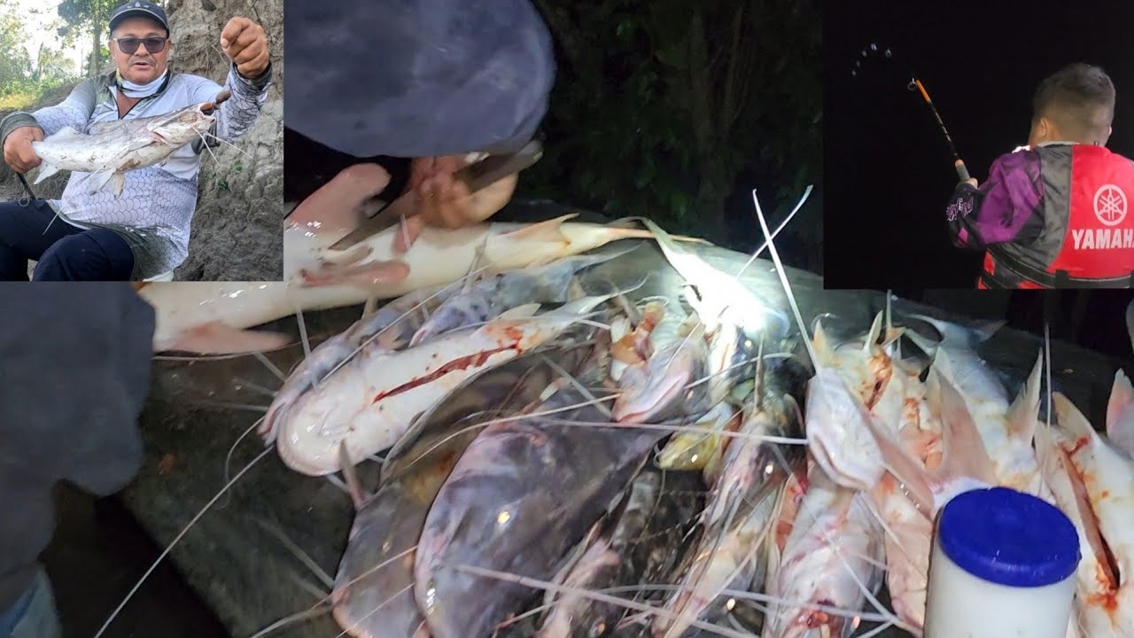 Pesca con caña y línea de mano de distintas espécies en el río meta con amigos