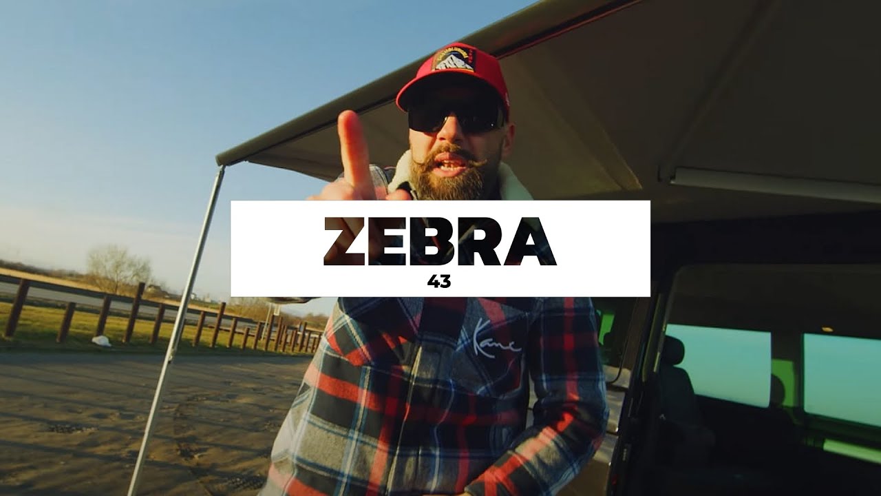 Zebra - 43 [Non Official Video] #dge #donguralesko #43
