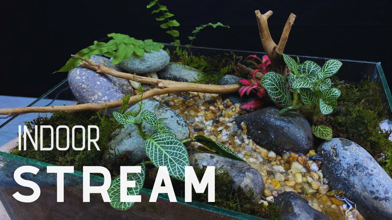 Stunning Indoor Micro Landscape with Flowing Stream