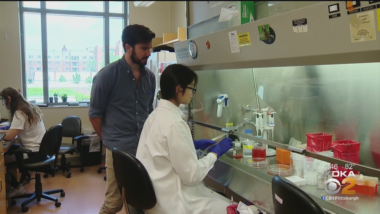 Kidsburgh: UPMC Hillman Academy