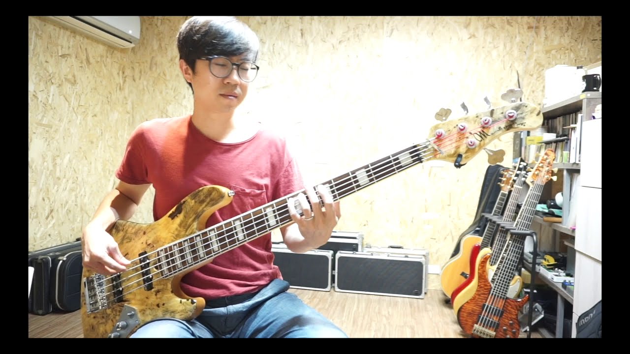 One Direction-What Makes You Beautiful(Bass Cover)