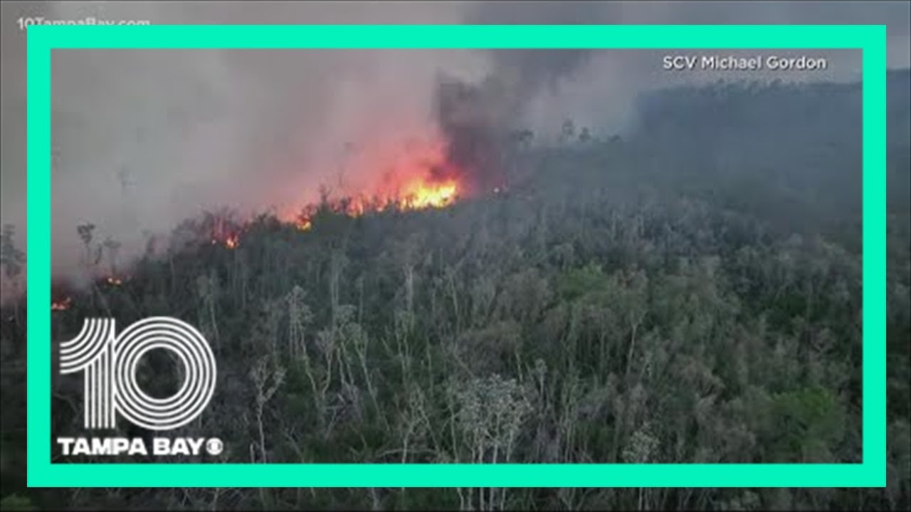Some residents allowed to go home as Florida wildfires grow