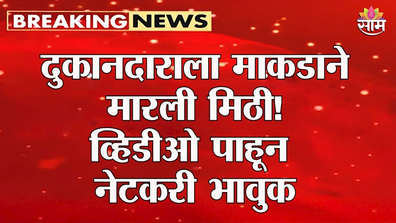 दुकानात शिरलं माकड अन् दुकानदाराला घट्ट मिठी मारली; VIDEO VIRAL | Odisha Monkey