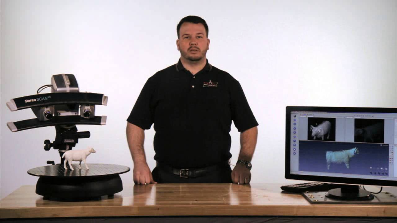 White Light Scanning Services