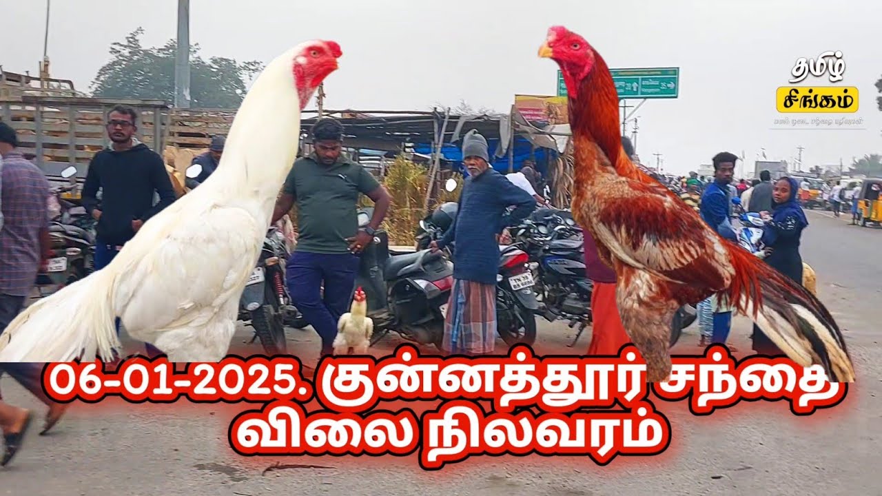 குன்னத்தூர் சந்தை விலை நிலவரம் /திருப்பூர்மாவட்டம் #monday #market #henna #murga #tamilsingam