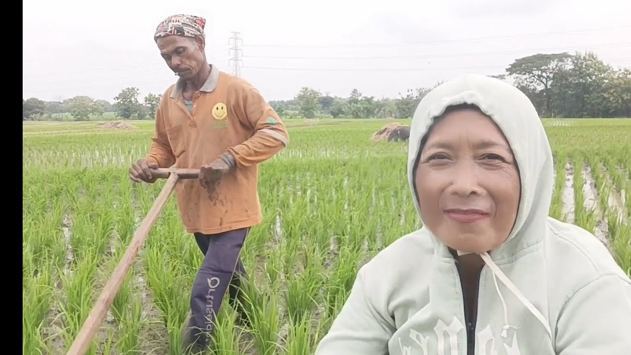 Petani Ndeso Lagi Ngaruk@Bundajessen