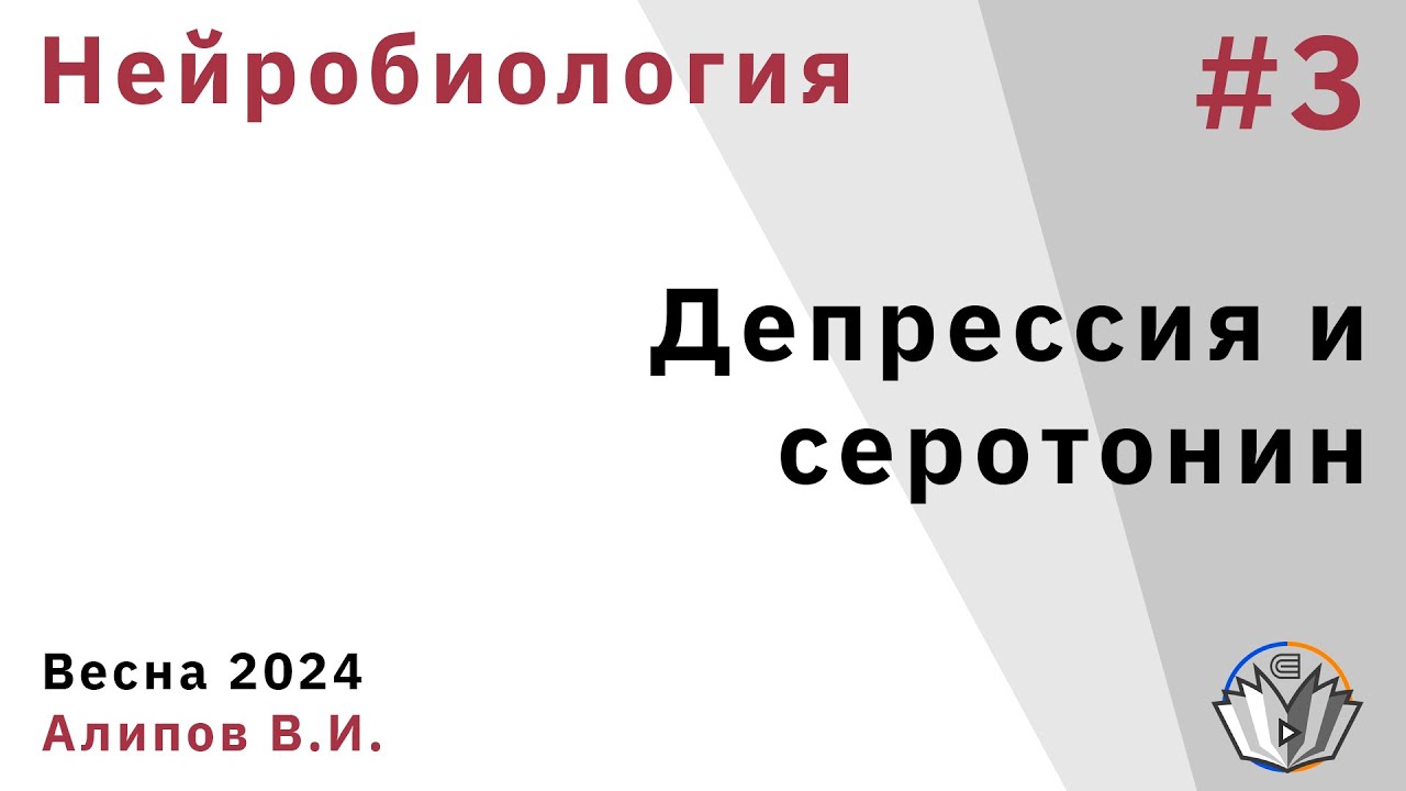 Нейробиология обучения 3. Депрессия, антидепрессанты и серотонин