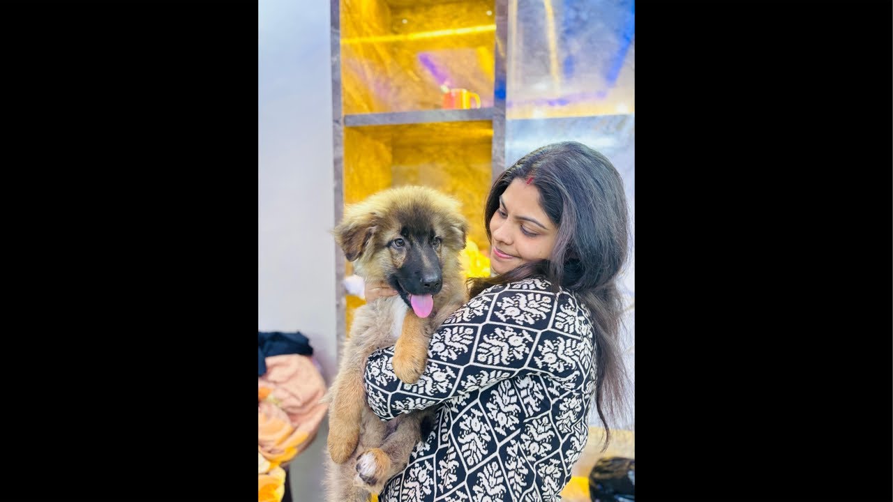 Officialshivi1