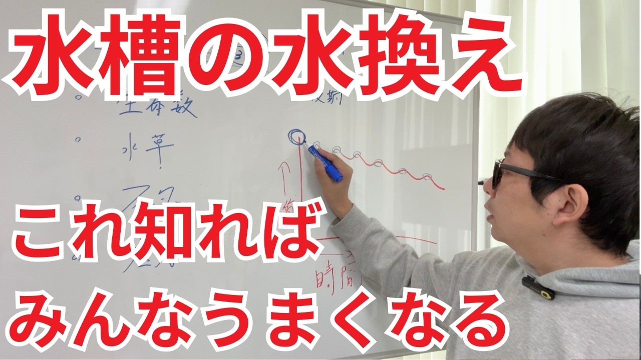 【これで解決】水槽の水換えをしても調子が良くない方、これが原因です
