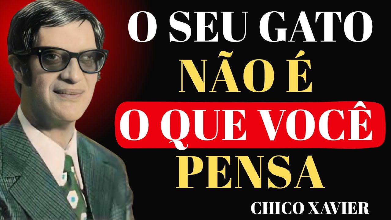 A revelação mais surpreendente de Chico Xavier sobre gatos — você nunca ouviu isso antes.