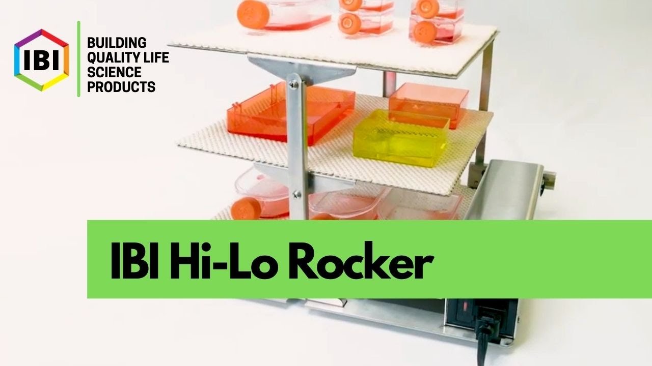 IBI Hi-Lo Rocker