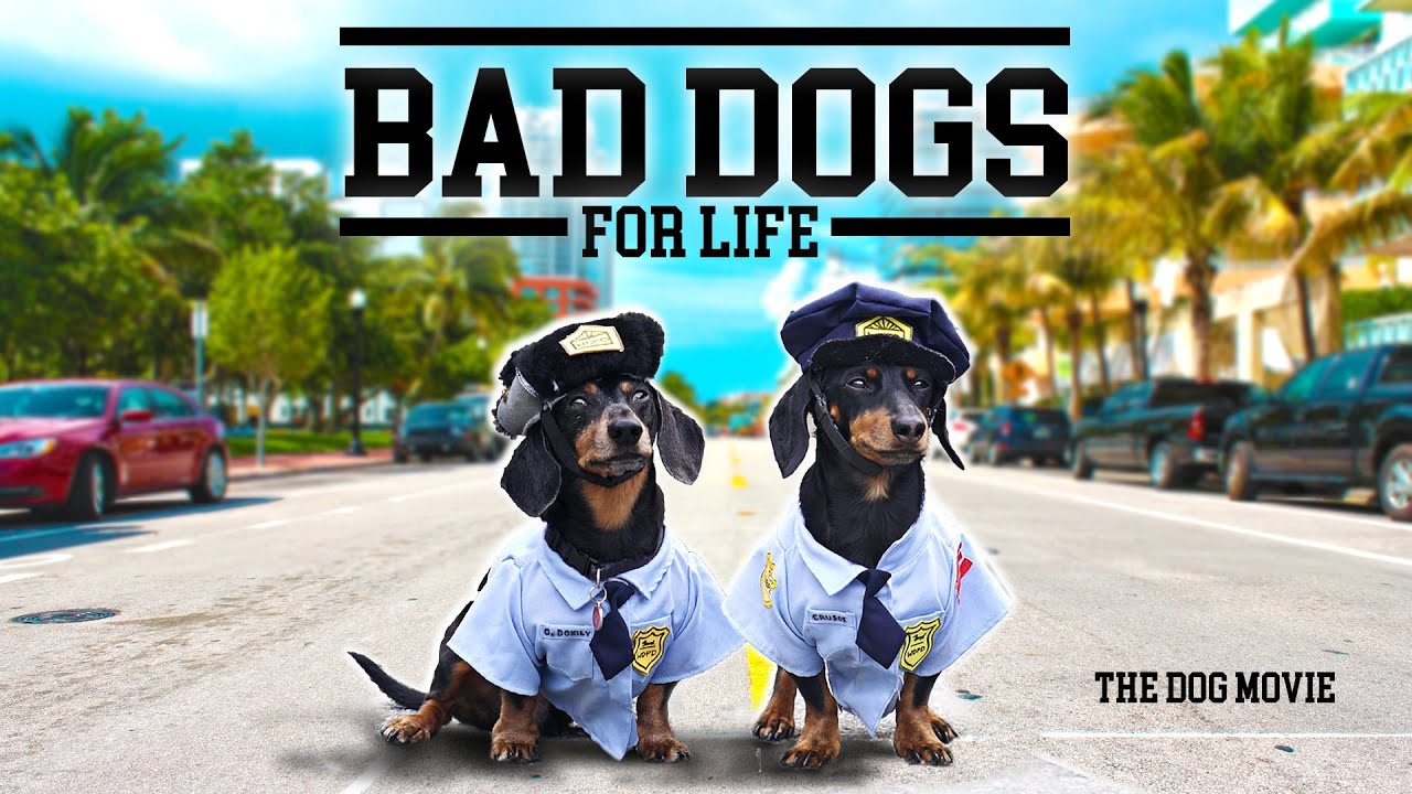 Ep 42: BAD DOGS FOR LIFE &mdash; Wiener Dog Bad Boys Movie
